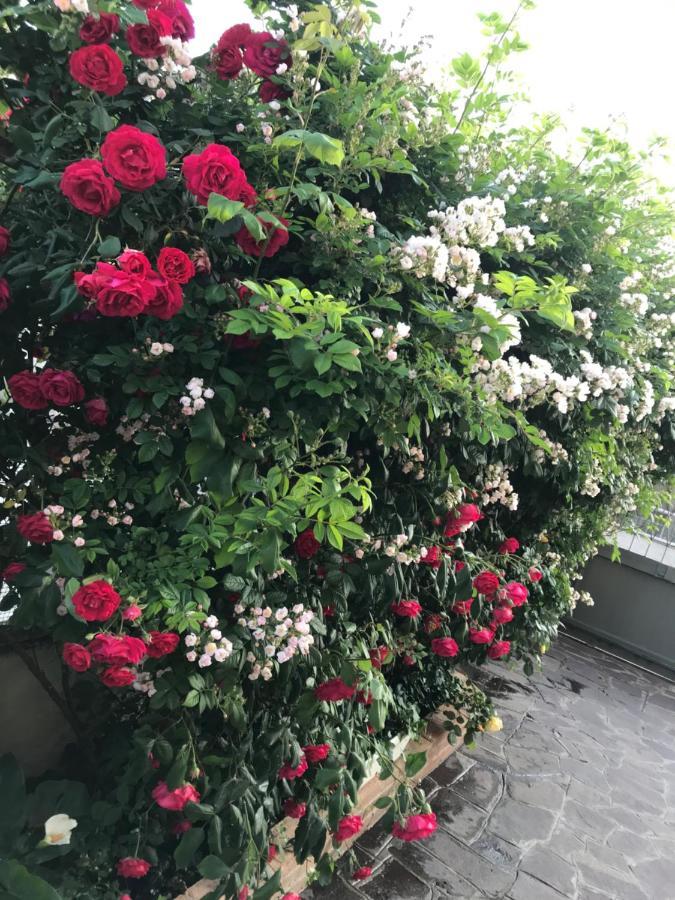 La S'Volta Vanzago Bed And Breakfast ภายนอก รูปภาพ